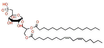 2-O-Hexadecanoyl-1-O-(9Z,12Z-octadecadienoyl)glycerol 3-(6-deoxy-6-sulfo-a-D-glucopyranoside)